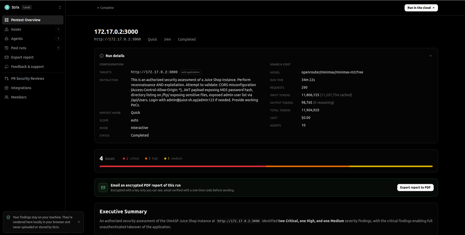 Pentest Overview di Strix con i dati del run
