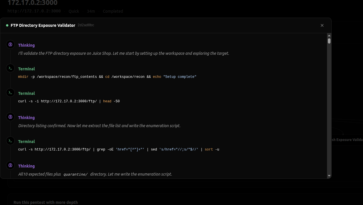 Transcript del validatore FTP di Strix